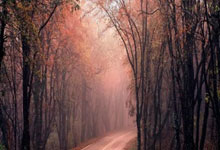 官方：瓦伦西亚签下雷恩中场桑塔玛利亚，瓦伦西亚前锋