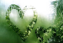 9月14日UFC：提耶戈·洛佩斯vs简·席尔瓦，拳手洛佩斯