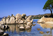 9月14日UFC：提耶戈·洛佩斯vs简·席尔瓦，拳手洛佩斯