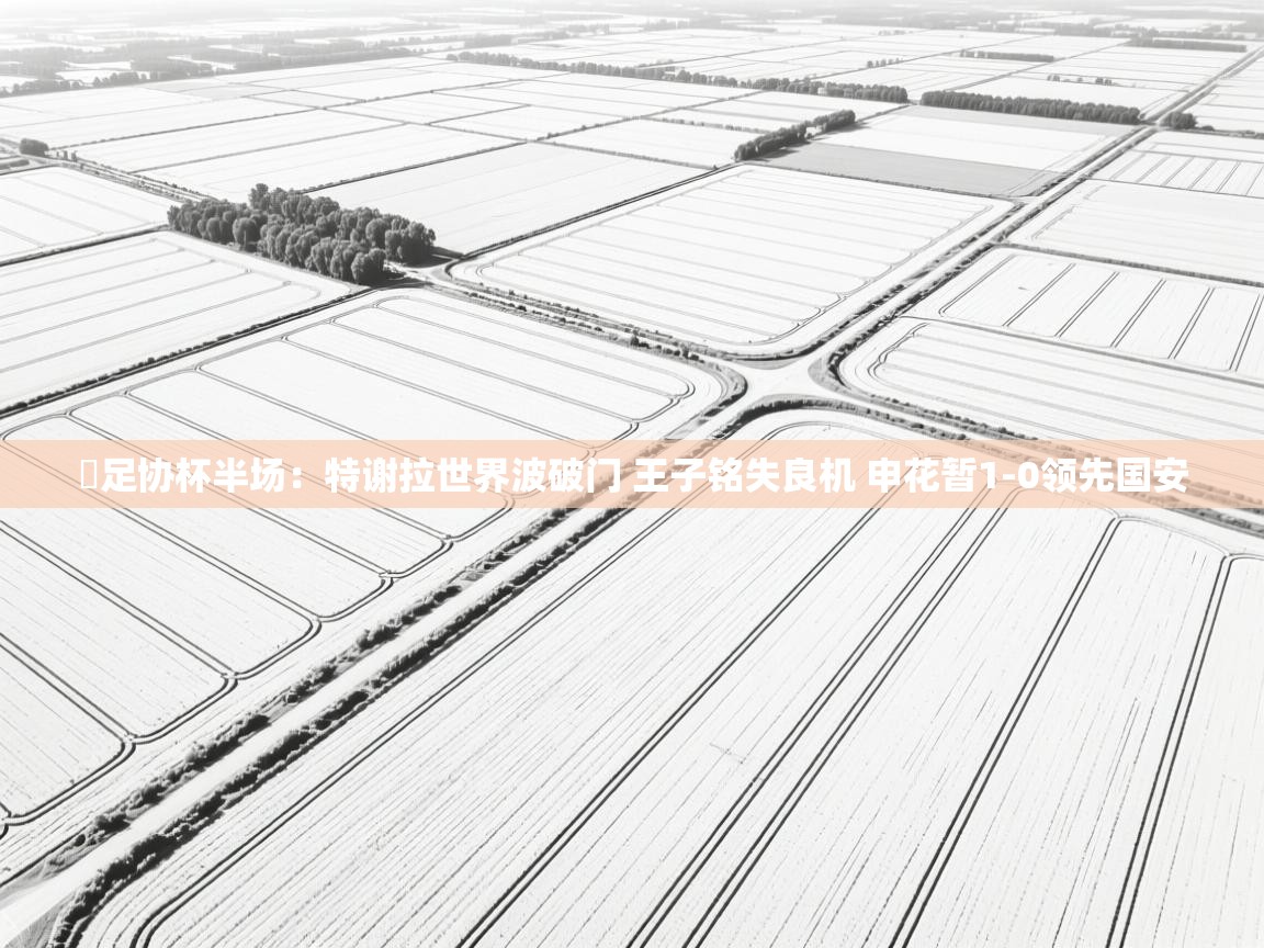 ⚽足协杯半场:特谢拉世界波破门 王子铭失良机 申花暂1-0领先国安 第1张