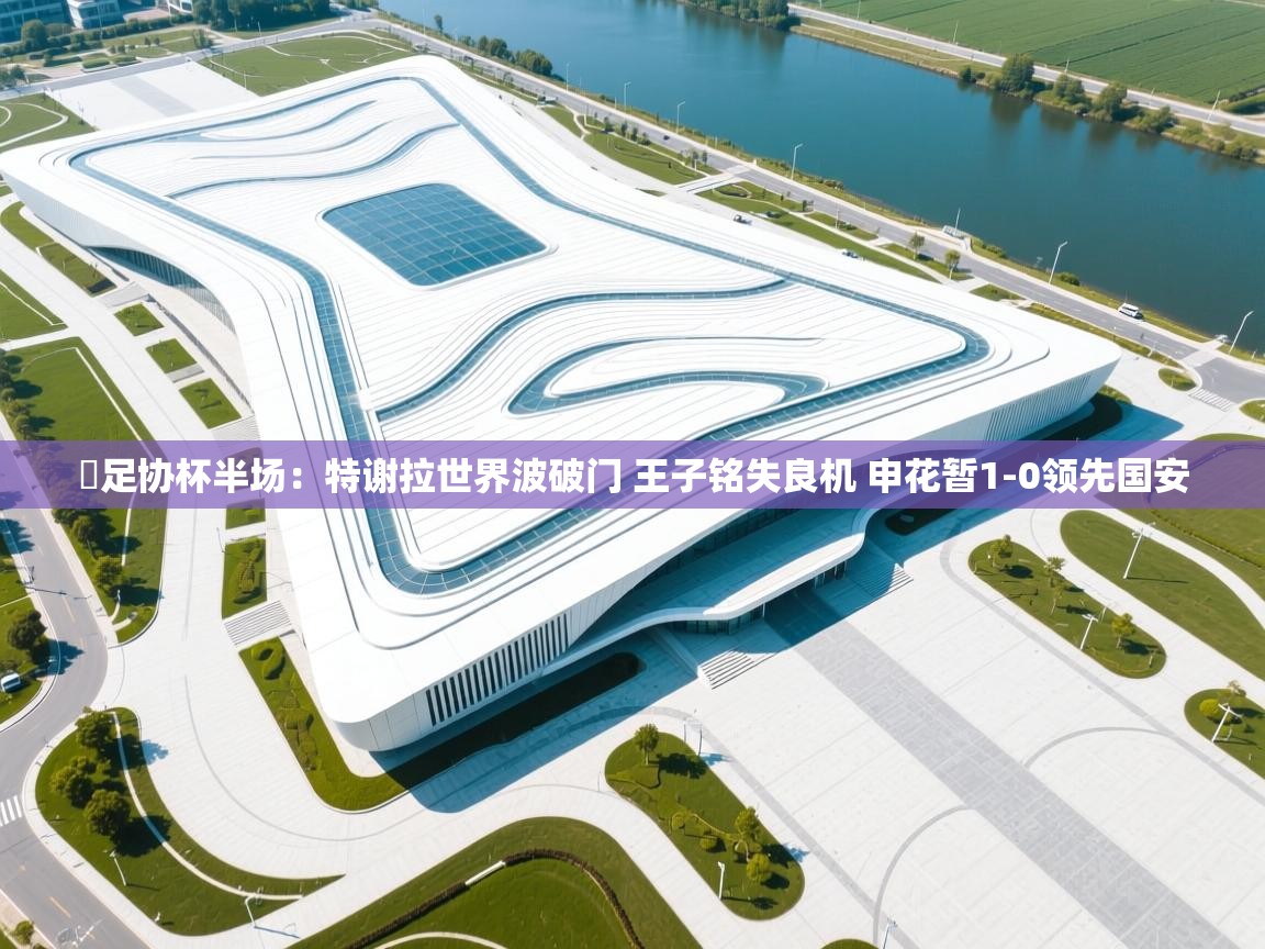 ⚽足协杯半场:特谢拉世界波破门 王子铭失良机 申花暂1-0领先国安 第2张
