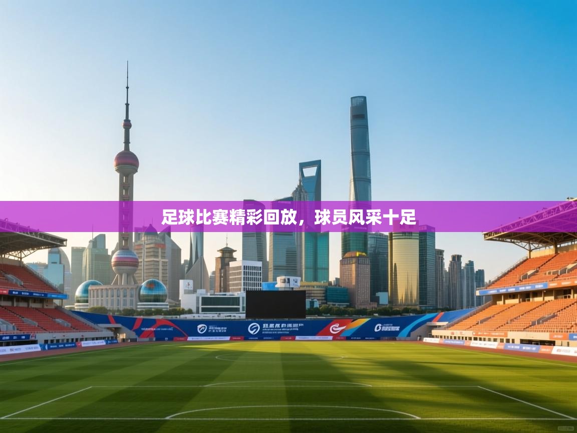 足球比赛精彩回放，球员风采十足