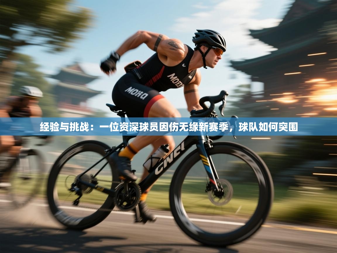 经验与挑战：一位资深球员因伤无缘新赛季，球队如何突围