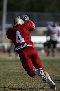 开云体育h5-全队备战！国家队将参加欧洲足球赛前瞻